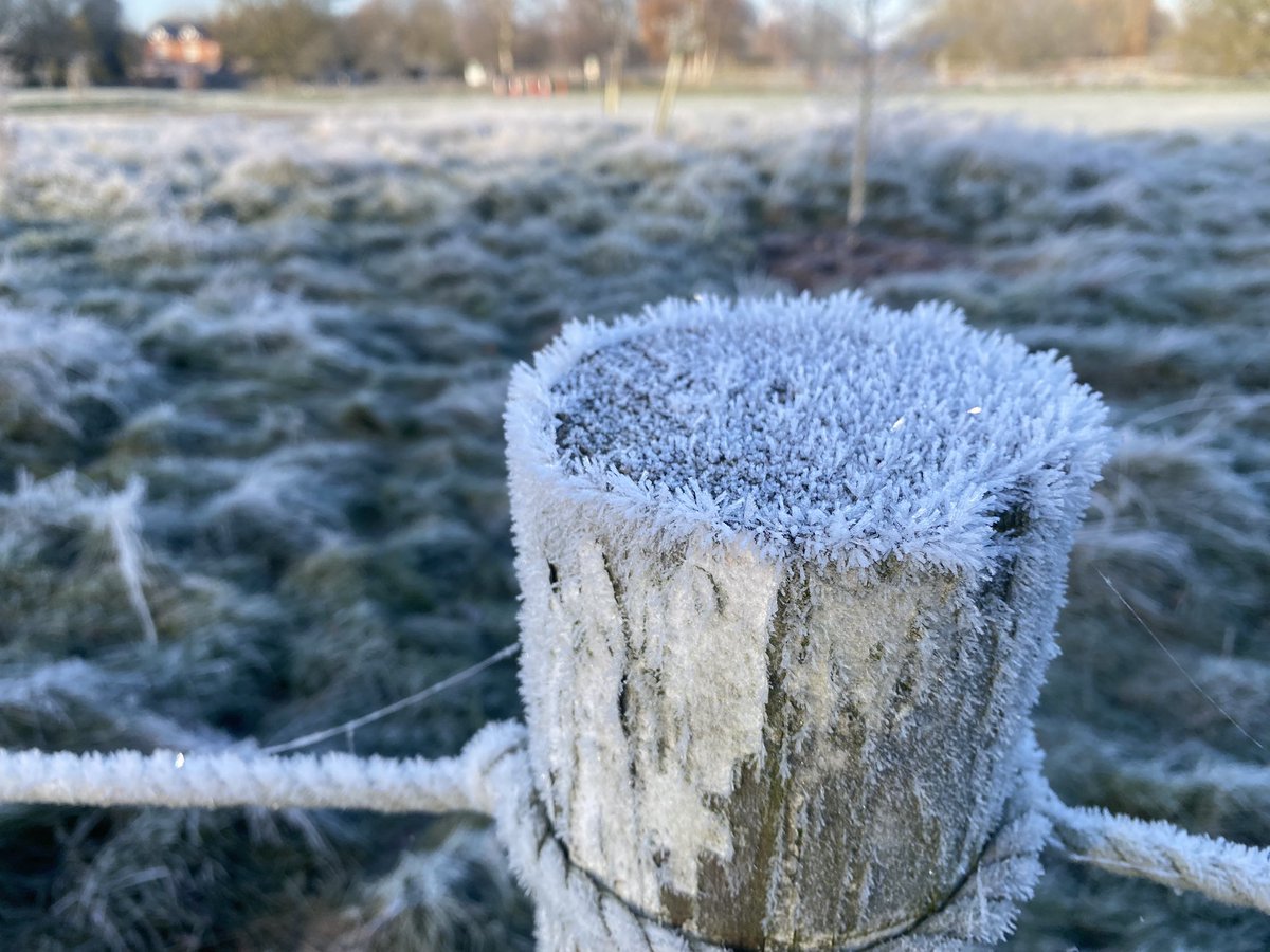 Just love a frosty morning walk #lovingretirement