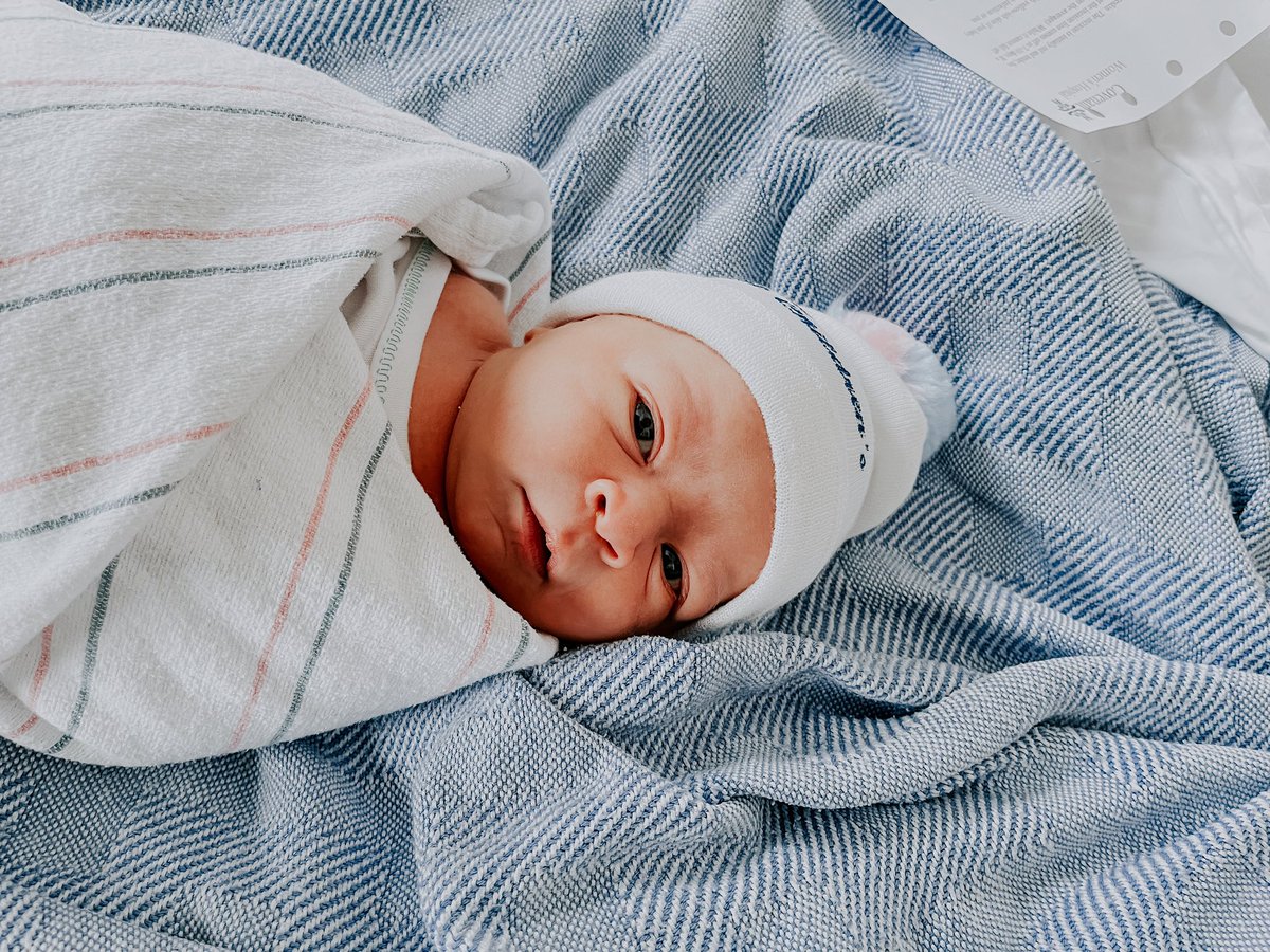 josie-lynn tweet media