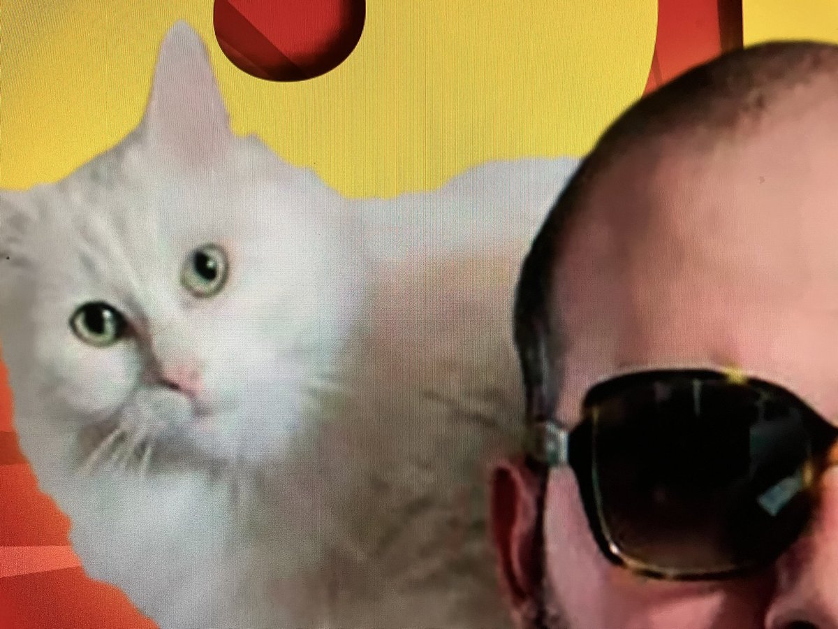 S★T★A★R tweet media