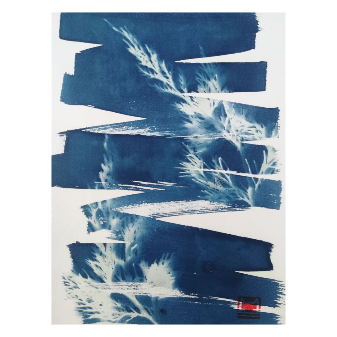 art_mraz's tweet photo. Juniperus sabina. Variegation, 2022
Ялівець козачий. Строкатий, 2022
.
#Art #UkrainianArt #Cyanotype #Cyanotypes #Cianotipia #BluePrint #Juniperussabina #SavinJuniper #Variegata #УкрАрт #УкраїнськеМистецтво #Ціанотипія #Цианотипія #ЯлівецьКозацький https://t.co/6MBqXMMM8X