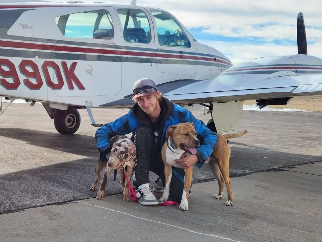 nate_wrenn21's tweet image. Everyone meet &quot;Alebrije&quot; aka &quot;Ally&quot; 
&apos;Alebrije are guides to the lost souls in the Land of the Dead&apos;