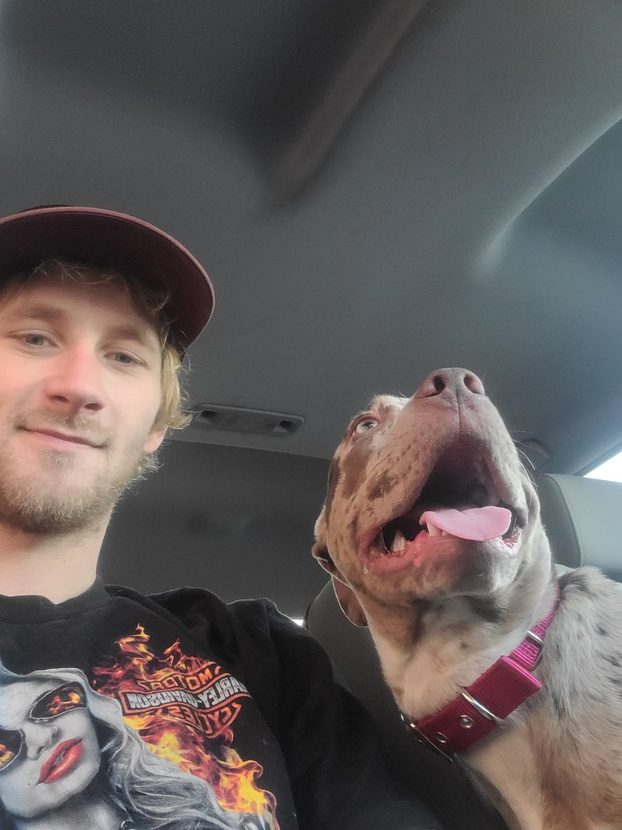 nate_wrenn21's tweet image. Everyone meet &quot;Alebrije&quot; aka &quot;Ally&quot; 
&apos;Alebrije are guides to the lost souls in the Land of the Dead&apos;