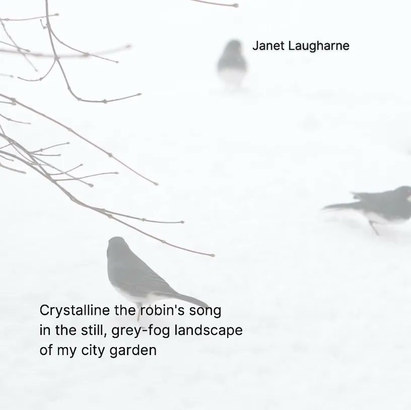 10th December 

#paperswansadvent #micropoetry #advent #poetry