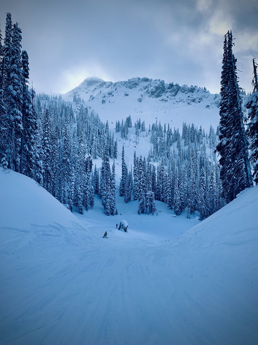 Danny Austin tweet media