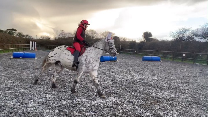 Daisy Hassell tweet media