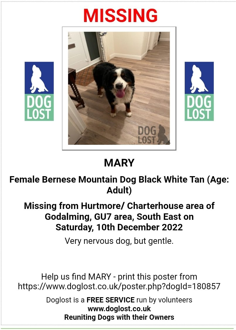 MissingPetsGB's tweet photo. 🐕 MARY #BerneseMountainDog
#Missing from Hurtmore Charterhouse area of #Godalming #GU7 on Saturday 10th December 2022
Mary is a very nervous dog, please do not chase
https://t.co/rjuOS5xvb4 https://t.co/7svwXsoOqI
