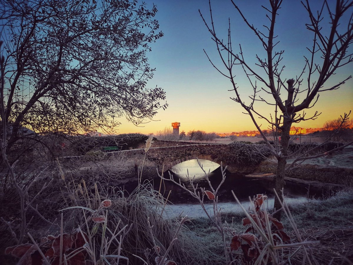 Frosty morning glow💛

#frostymorning #cold #ThePhotoHour #NaturePhotography #naturelover