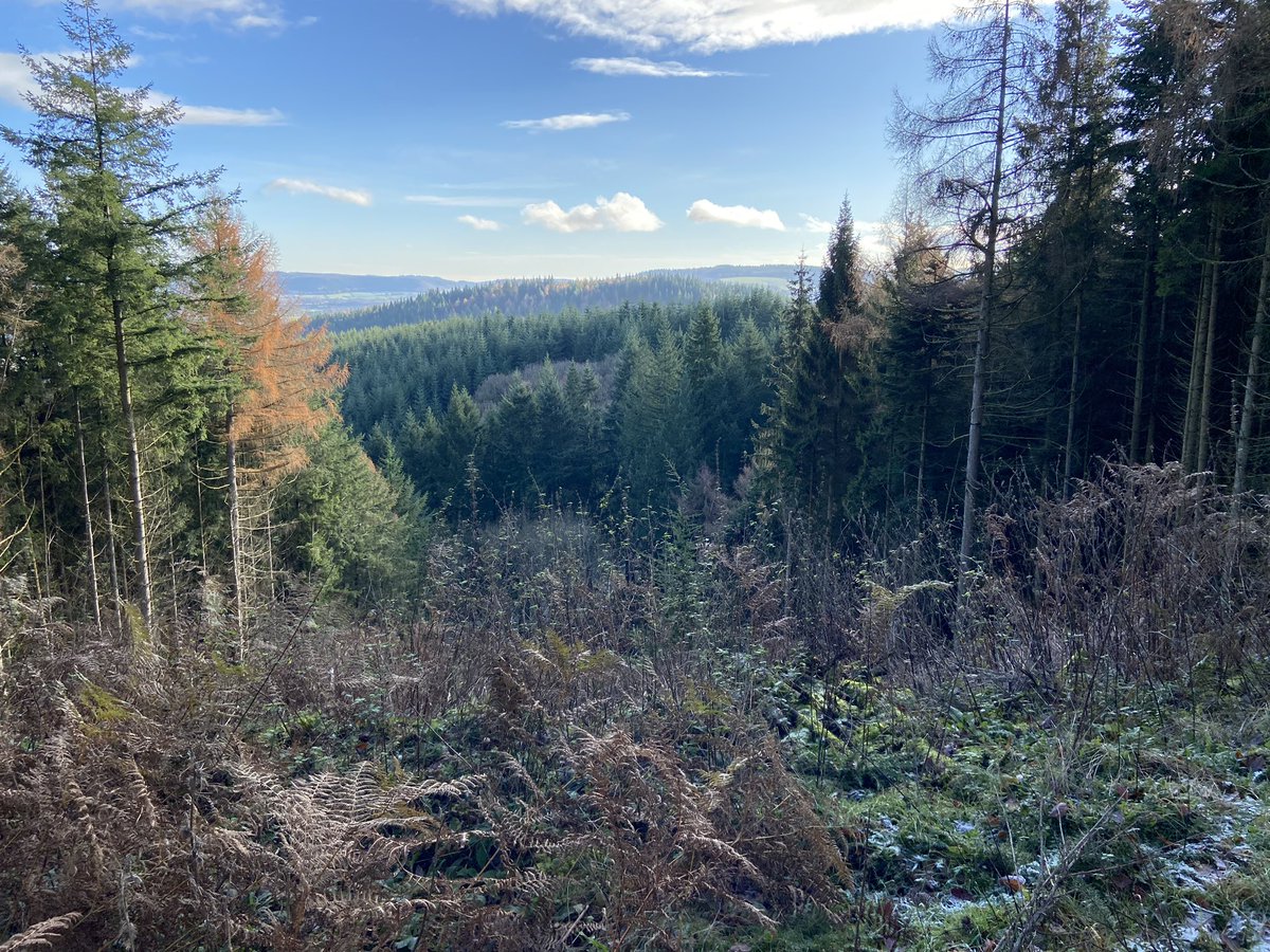 Stephen Aspinall (@basratstea) on Twitter photo A stunning day in the Shropshire Hills. Mountain bikes and icy downhill trails are a tonic for the soul! A stunning day in the Shropshire Hills. Mountain bikes and icy downhill trails are a tonic for the soul!