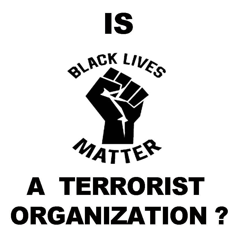 Gavin_4_2024's tweet photo. DAMN RIGHT IT IS
#blmterror https://t.co/0f253WK5BD