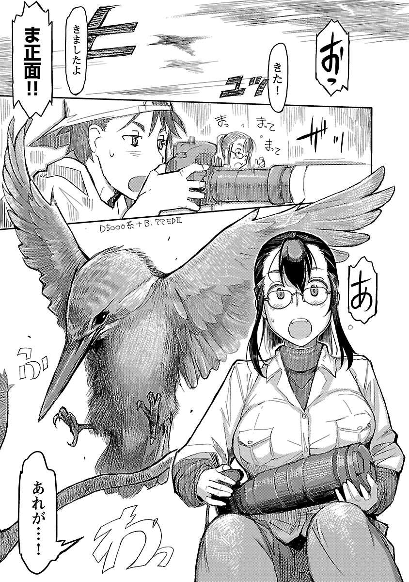 カワセミの回③ 