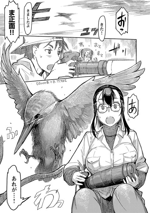 カワセミの回③ 