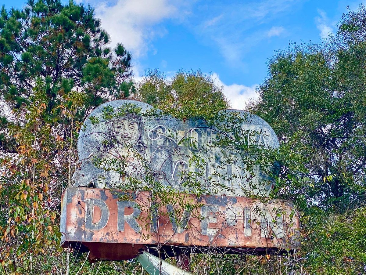 StuckeyStop's tweet photo. The Georgia Girl drive in outside Woodbine, GA harkens back to an era when America’s roadside landscape was full of beauty &amp; art #saveoursigns #abandonedplaces https://t.co/8WhaeBwHxC