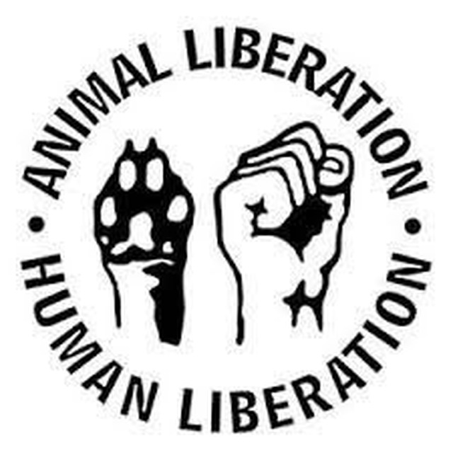 10/12 A day to remember we are all in this TOGETHER

#Animal &amp; #Human

Today is International #AnimalRightsDay &amp; #HumanRightsDay

 Dia Internacional dos
#DireitosDosAnimais &amp; #DireitosHumanos

#InternationalAnimalRightsDay #AnimalRights
#InternationalHumanRightsDay #HumanRights