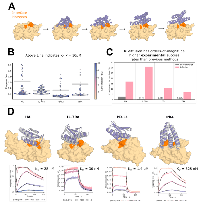 BasileWicky's tweet photo. An insane success rate for the direct generation of protein binders against 4 biological targets! 18% of the 384 designs bound (Kd<10uM), with the best hits being double-digit nM (straight out of the computer, no opt.) https://t.co/BTtLFzCSLi