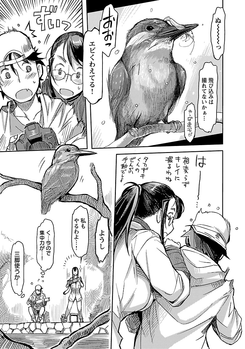 カワセミの回③ 