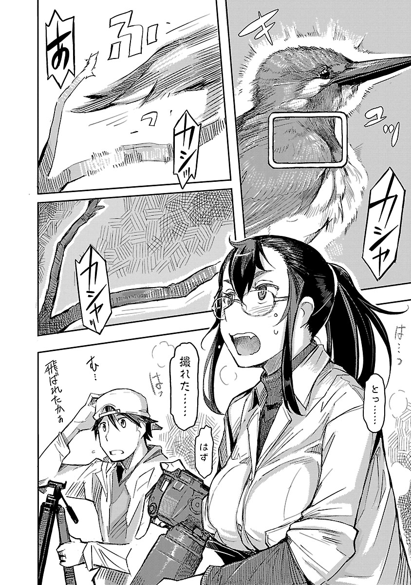 カワセミの回④ 