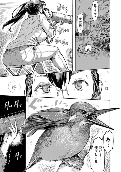 カワセミの回⑤ 