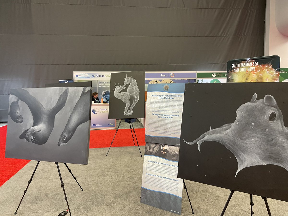 It is striking how central art is to so many of the projects present at #COP15montreal - like #oceanintheroom - which asks us to remember biodiversity under the sea @slowmemo