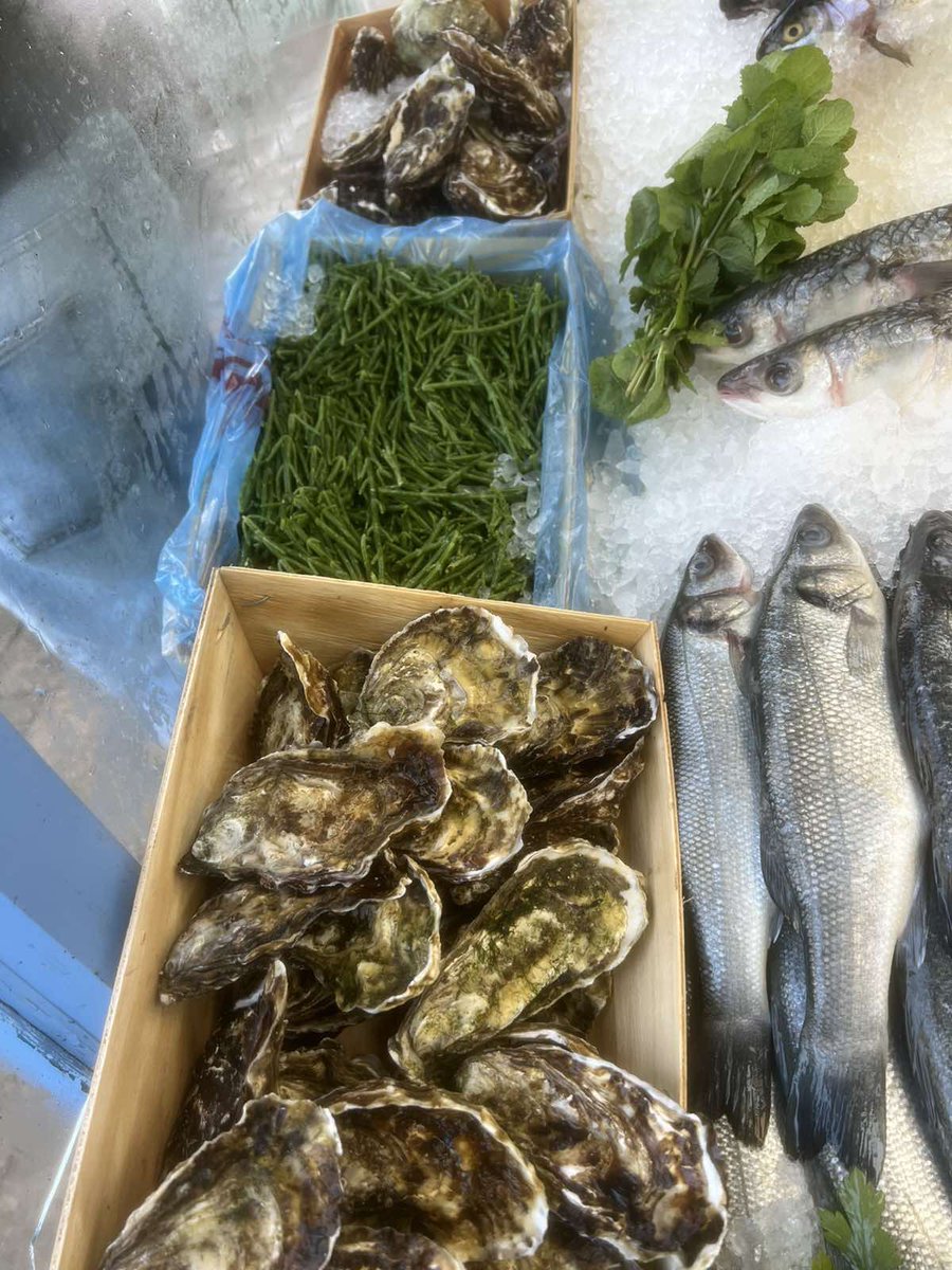 NottinghamFish1's tweet photo. https://t.co/hBw5uVoYxC