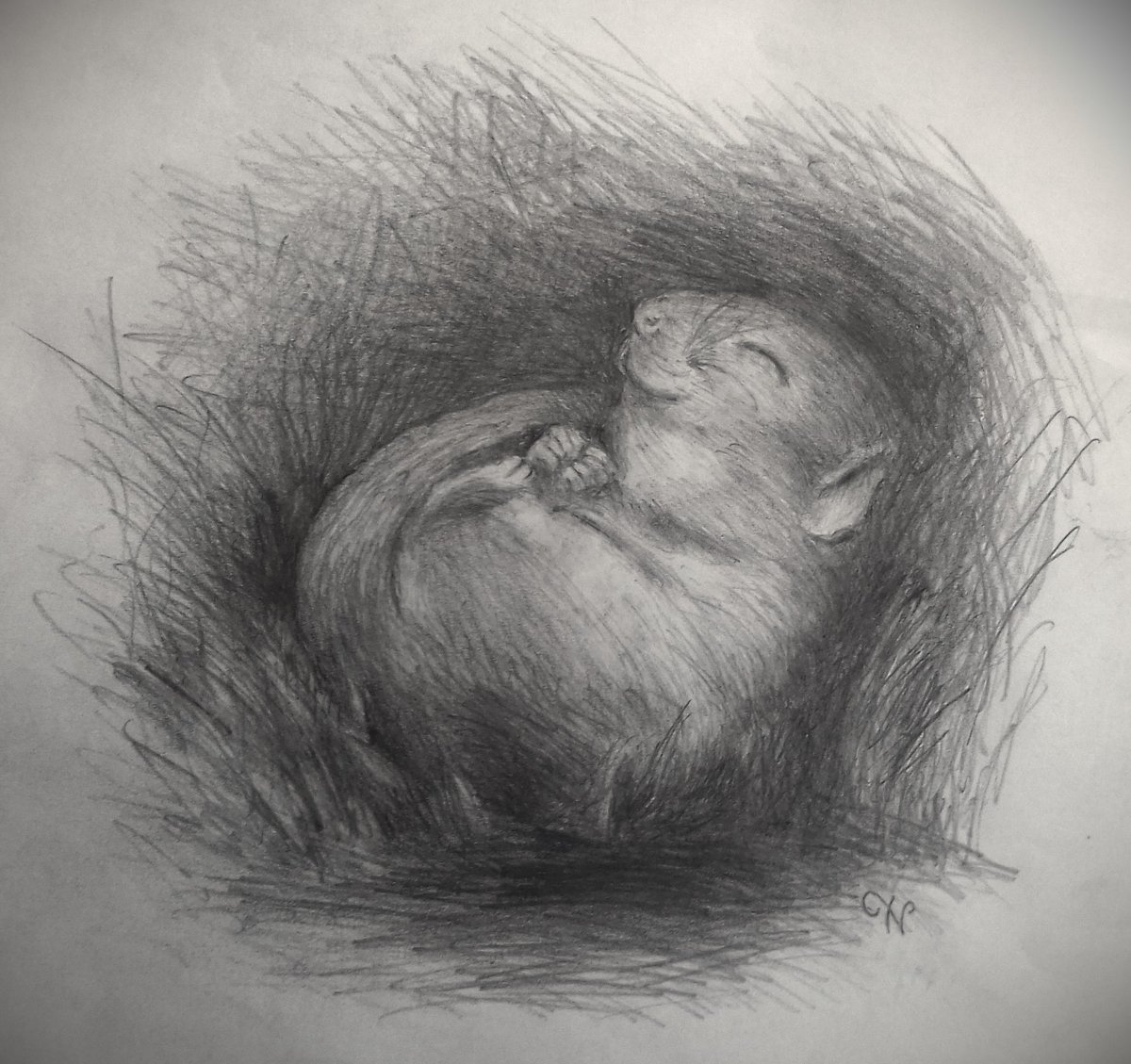 Hidden somewhere deep 
beneath the tumbledown snow, 
the faintest heartbeat.
#haikuSaturday

(Thought I’d do a little illustration for this one)