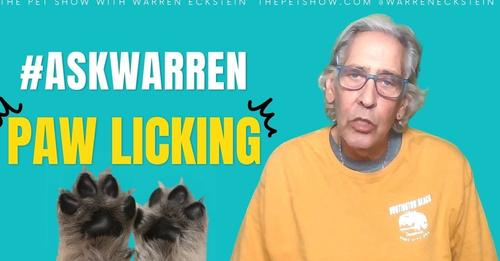 warreneckstein's tweet photo. Paw-licking problems? What causes it? What can you do about it? Find out in this episode of #ASKWARREN!
https://t.co/4ol1XkUIe6
Want to ask Warren your questions but don't want to be on the radio? Head on over to the website to submit your questions:
https://t.co/Kw4EsRd0rI https://t.co/JSpAz5J1rz