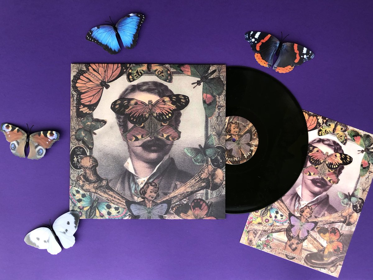 LorraineInglisD's tweet photo. My new #paulsimpson LP is stunning 🦋Thanks ⁦@aviatormusicuk⁩ Great signed artwork too, perfect listening for these dark winter days 🎶🦋 #indierecord #deathmustbebeautiful #wildswans https://t.co/jy6cxtYi4G