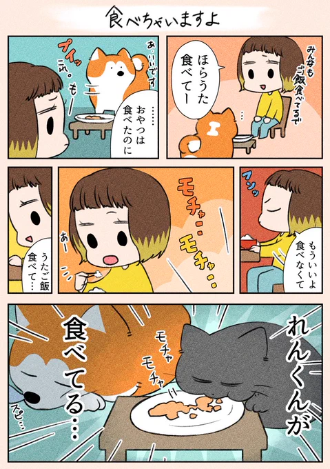 「食べちゃいますよ」
うたが食べなくなるのを待っているれんくんです…(笑)

#漫画が読めるハッシュタグ
#日常
#犬猫 
