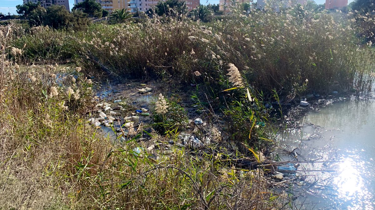 RequenaCanals's tweet photo. Passejant de camí a les dunes litorals de Guardamar, hem passat per la desembocadura del #RiuSegura i, lamentablement, l’acumulació de fem, plàstic i tot tipus de deixalles, han tingut massa protagonisme… https://t.co/0Z4SXChyBM