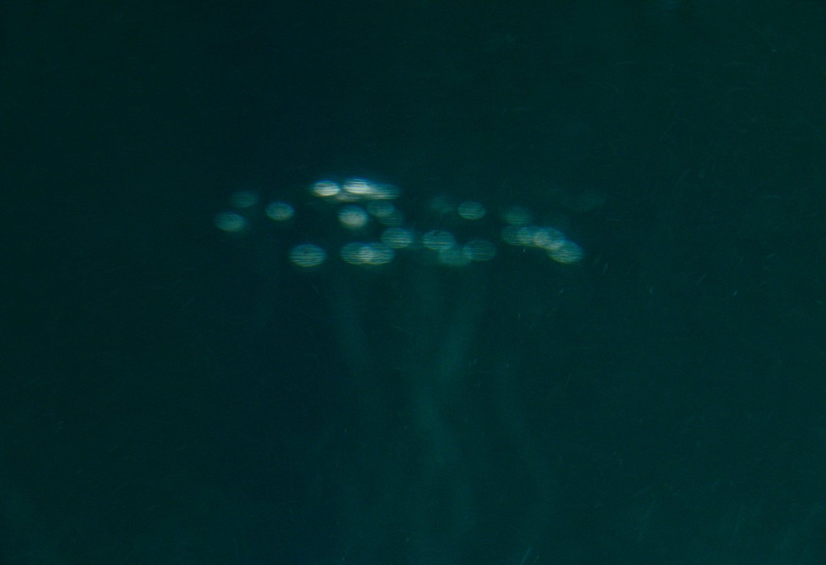 @NFT_Workroom <a href="/ethdotco/">Eth.co</a> <a href="/foundation/">Foundation 🌐</a> <a href="/opensea/">OpenSea</a> <a href="/makersplace/">MakersPlace 🔳</a> Hi! Here is Underwater Trilogy. 

This collection expresses a period of separation. Includes up-downs and mixed feelings of a break-up. 

1-Whirlpool (anger, frustration, confusion)
2-Sink (Depression,mourning)
3-Disappear (Heailing)

1/1 - 0.25 eth each

foundation.app/collection/und