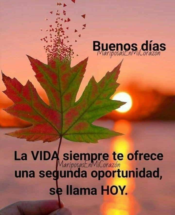 RominaS57549610's tweet photo. Excelente sábado familia twitera...
Deseo tengan un excelente sábado lleno de bendiciones, amor, abundancia, agueguemosle una chispa de alegría y mucho color ... #Coloramor https://t.co/l77AontaMX
