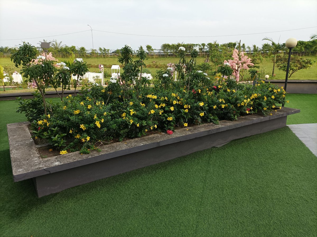 Dans le cadre d'un projet documentaire,je recherche des hôtels avec des espaces verts connus ou pas (Naissant)  pas en centre ville,mais dans leurs périphéries.Comme exemple :Bana-Bikok-Nkoladom
Avez-vous d'autres sites à me proposer svp?
RT apprécié 😎