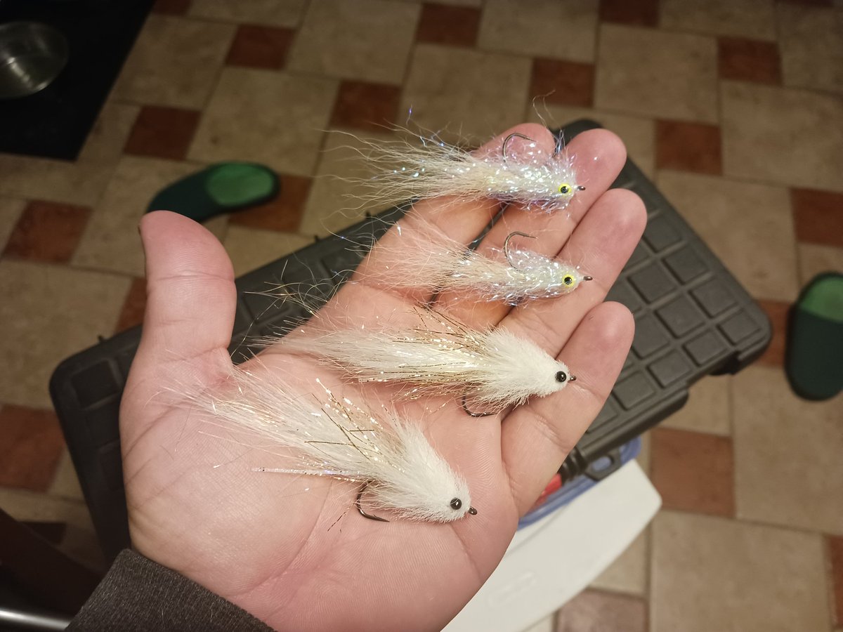 thebugmandan's tweet photo. Seventeen days til I'll back in Florida chasing snook for a few days. Not that I'm counting it down or anything...😏. #flytying #flyfishing #snookonfly https://t.co/rwew3M70EH