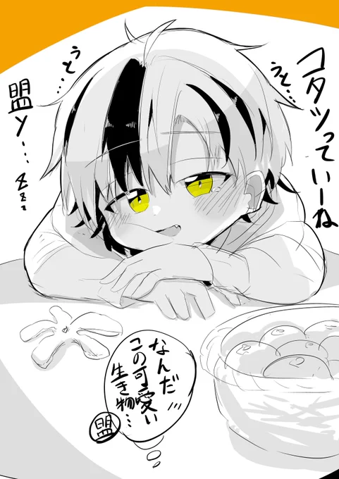 こたつ 