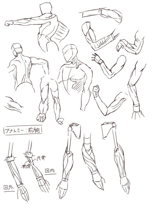 練習74日目
マイケル・ハンプトンの人体の描き方の模写 