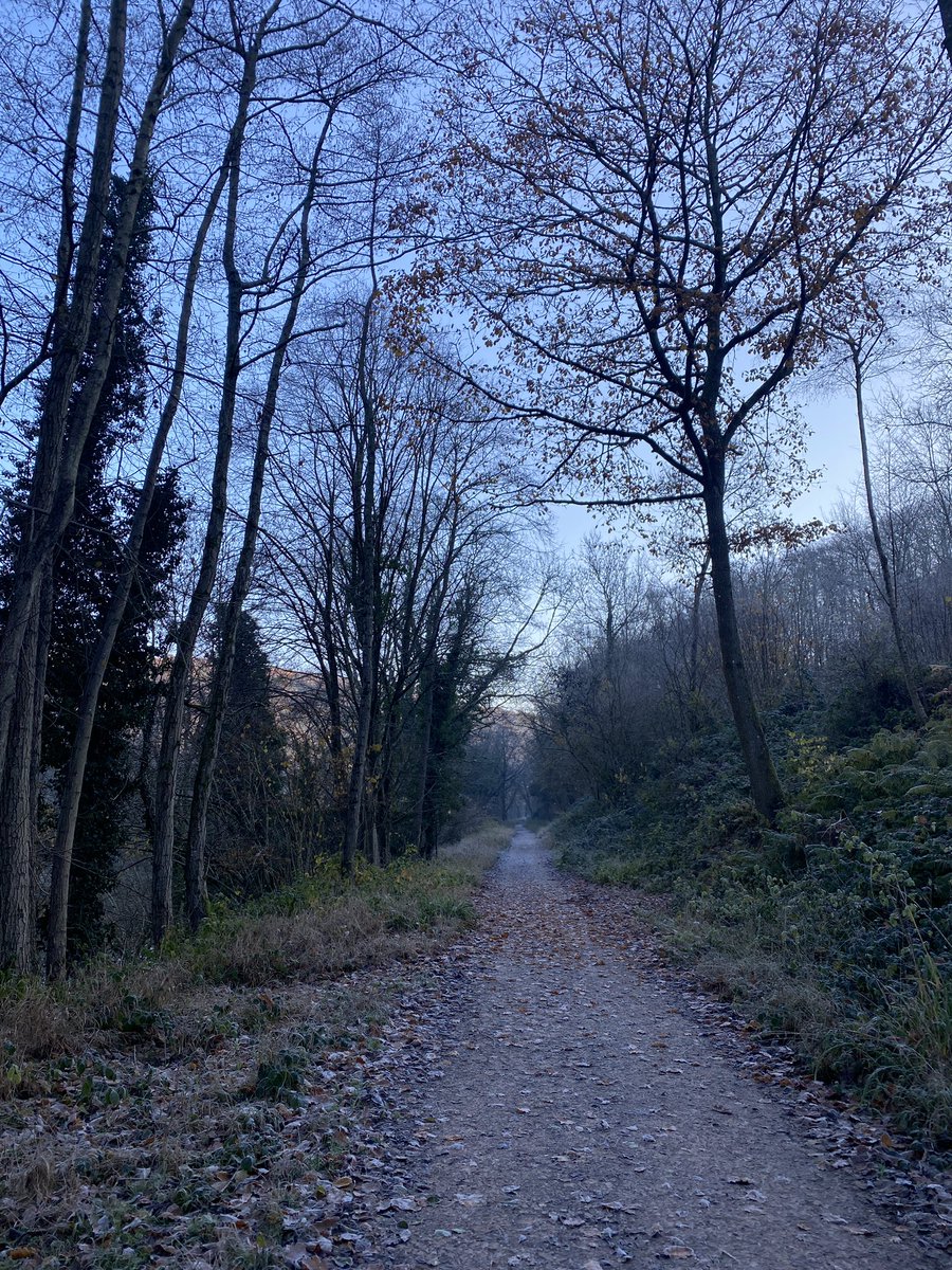 wyevalleywalk's tweet photo. Hadnock (Monmouthshire) to symonds yat (Herefordshire) walk,
3.6miles #walking #walks #wyevalley #walkingtrails #monmoutshire #Herefordshire #wyevalleywalk #symondsyat https://t.co/pE728xN0W2