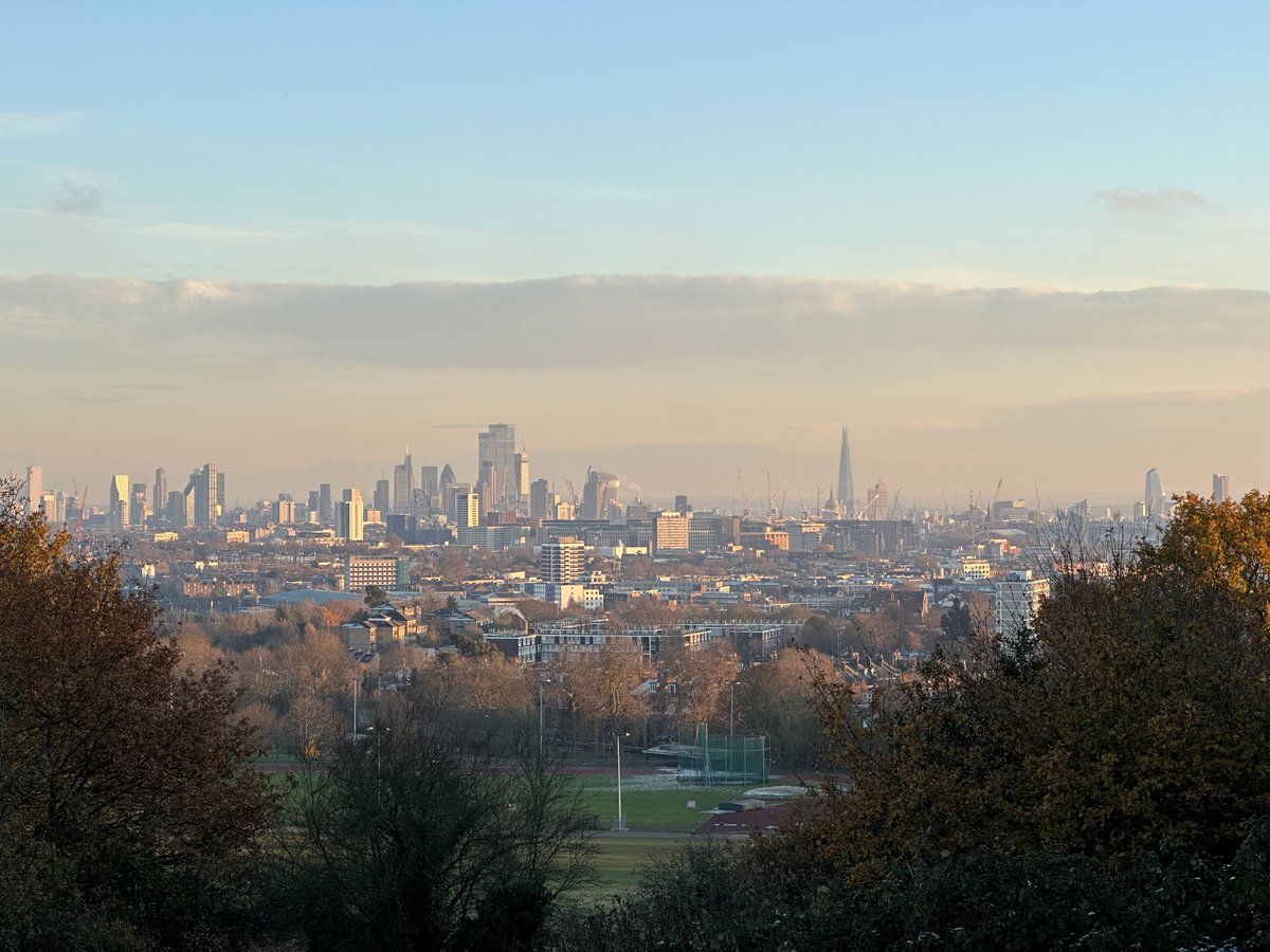 Steven Peterson 🏳️🌈 tweet media