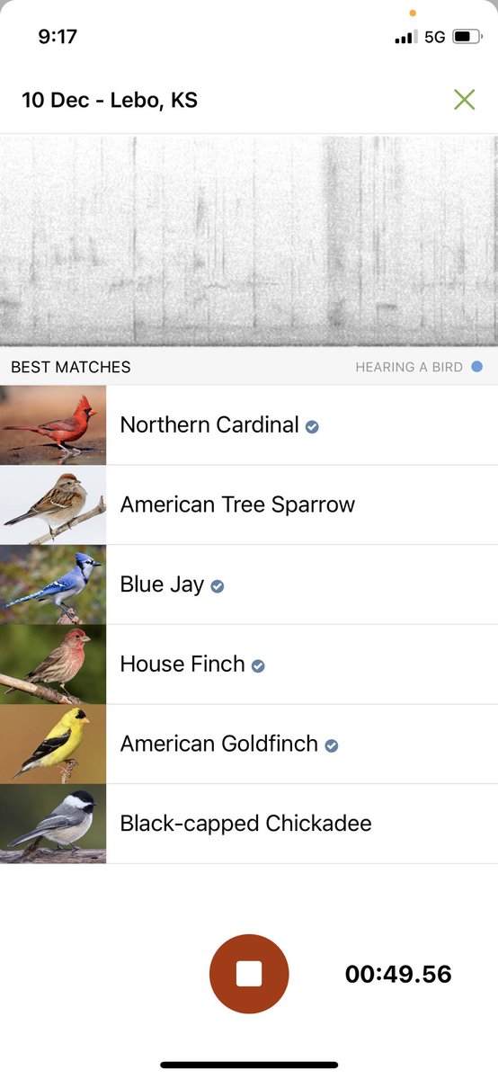 CIANeosho's tweet image. Bird watching with some friends and the @MerlinBirdID app…dusting off some skills for the next Great Backyard Bird Count! #explorersmindset with the family 😍