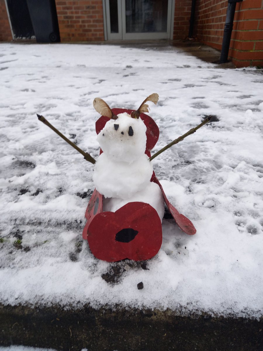 steelygreyste's tweet photo. Saw this little #snowbug on our walk. Loved the use of #sycamoreseeds for the ears . #Prestwich #Manchester #igersprestwich #snow #snowing https://t.co/J0pdgsjjsg