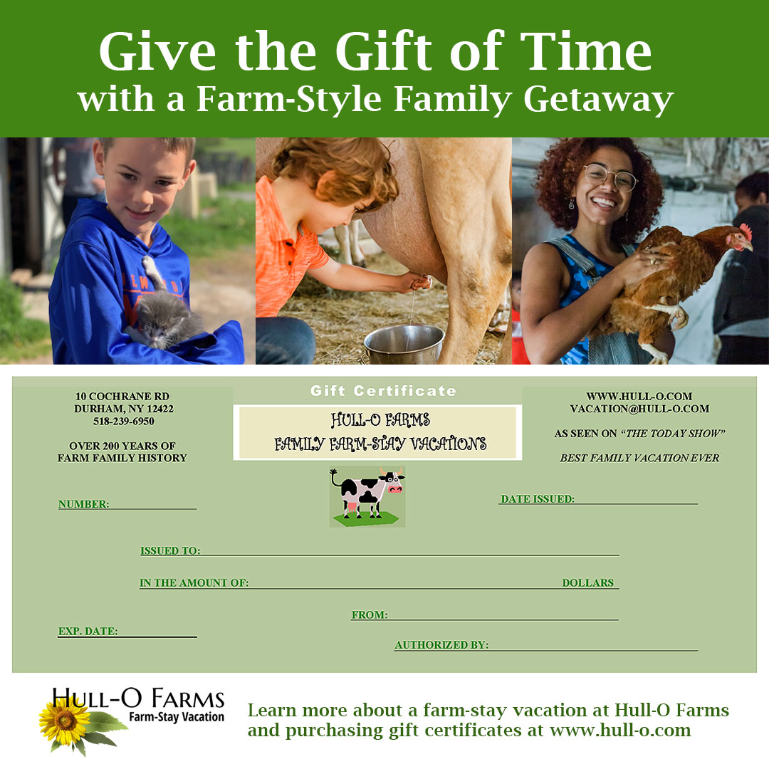 HulloFarms's tweet photo. A farm-style family getaway is the perfect gift for any family that is looking for new adventures and experiences while enjoying quality family time together. We offer four seasons of farm fun. 
To purchase a gift certificate, call us at 518-239-6950 https://t.co/bjaMWiLpwI