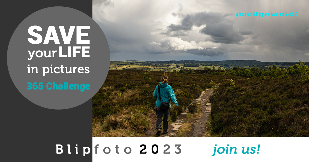 One photo • from the day • every day • 365 days 
📷 Join the #Blipfoto2023 Challenge!  📷

Join #CommunityOwned blipfoto.com 

Save your outings and adventures day-by-day.

** Many thanks, blippers, for allowing us to share your images. **  #365project #PhotoJournal