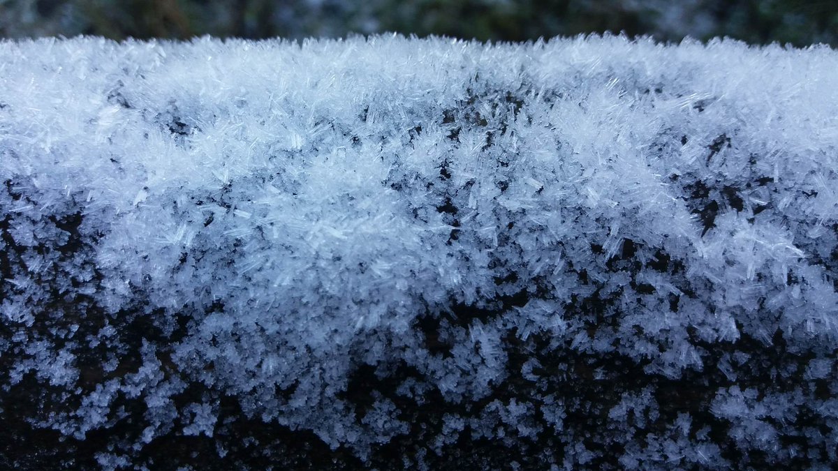 martinastro2005's tweet image. Frost from day three of the cold spell. Fern frost on the windscreen this morning was striking and very thick. Models showing cold staying with us for another week or longer. #coldspell #fernfrost