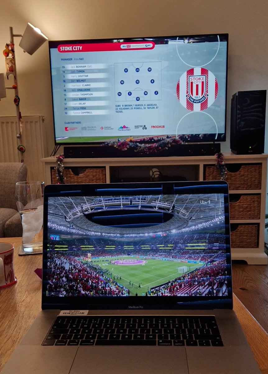 BritishBirder's tweet photo. When two worlds collide #FIFAWorldCup #Championship #MARPOR #STOCAR https://t.co/5rrNVFlCKL