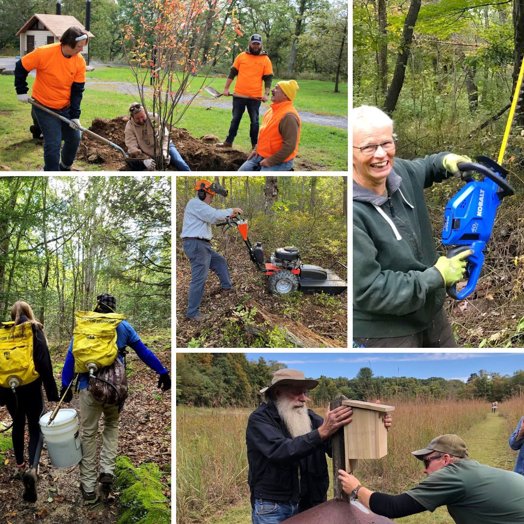 PaPFF's tweet image. Stumped over gifts? Living gifts spread and multiply love for #PAStateParks and #Stateforests to the giftees and beyond!

Make A Living Gift 🌲🎁🌲 ow.ly/G8He50LZCf1 on behalf of family or friends, so they'll receive a special acknowledgment card in time for the holidays🎄