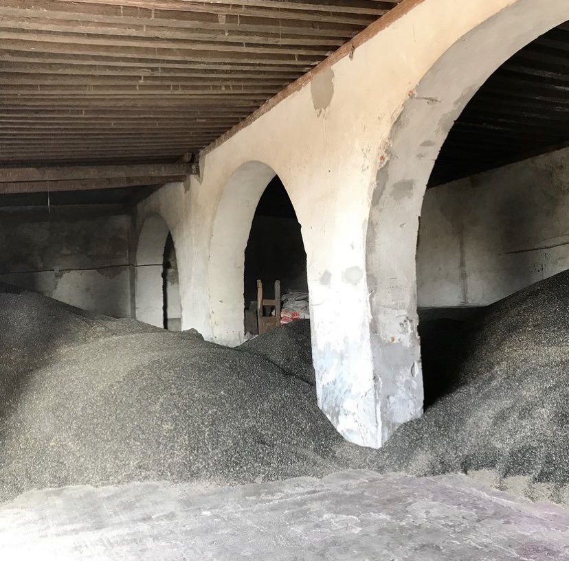 #Sunflower 🌻 as a rotation crop: helps to improve soil organic matter and Carbon kidnapping because of its pivotant root and biomass. Low nutritional and hydric requirements. Option crop for the edible-oil industry. Mexico 🇲🇽 is an oilseed importer. #Sustainability #resilience