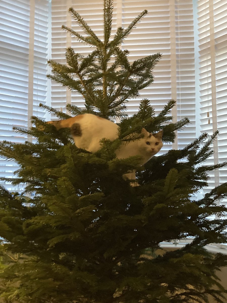 Chris Sudworth tweet media