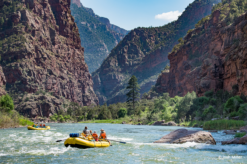 ImageCreatorsNW's tweet photo. Explore the recreational and educational opportunities that Dinosaur National Monument in Utah and Colorado has to offer. https://t.co/A9DpugtsCN https://t.co/5N8fzmZLVS