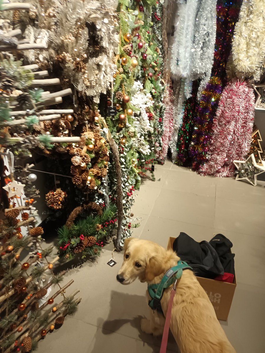 Simon Heyes tweet media