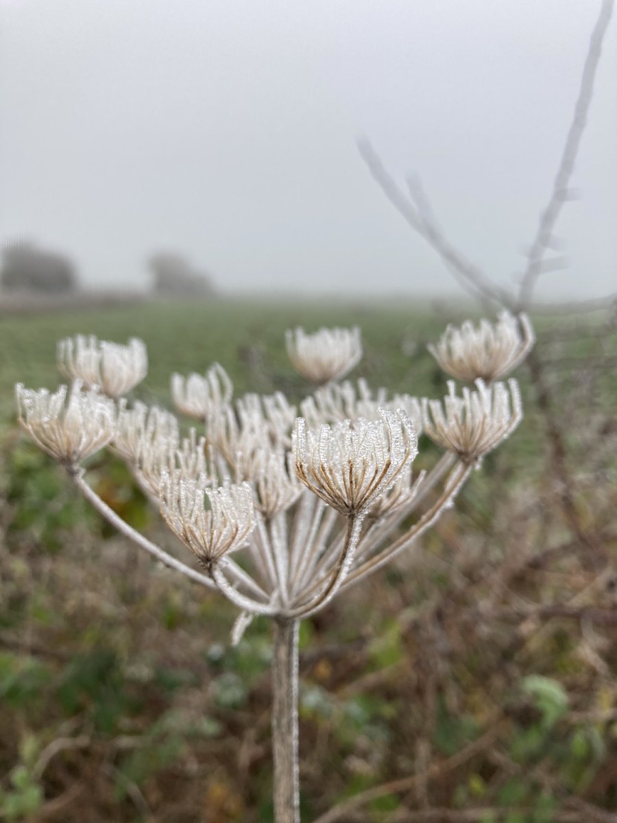 Frosty day on the coast