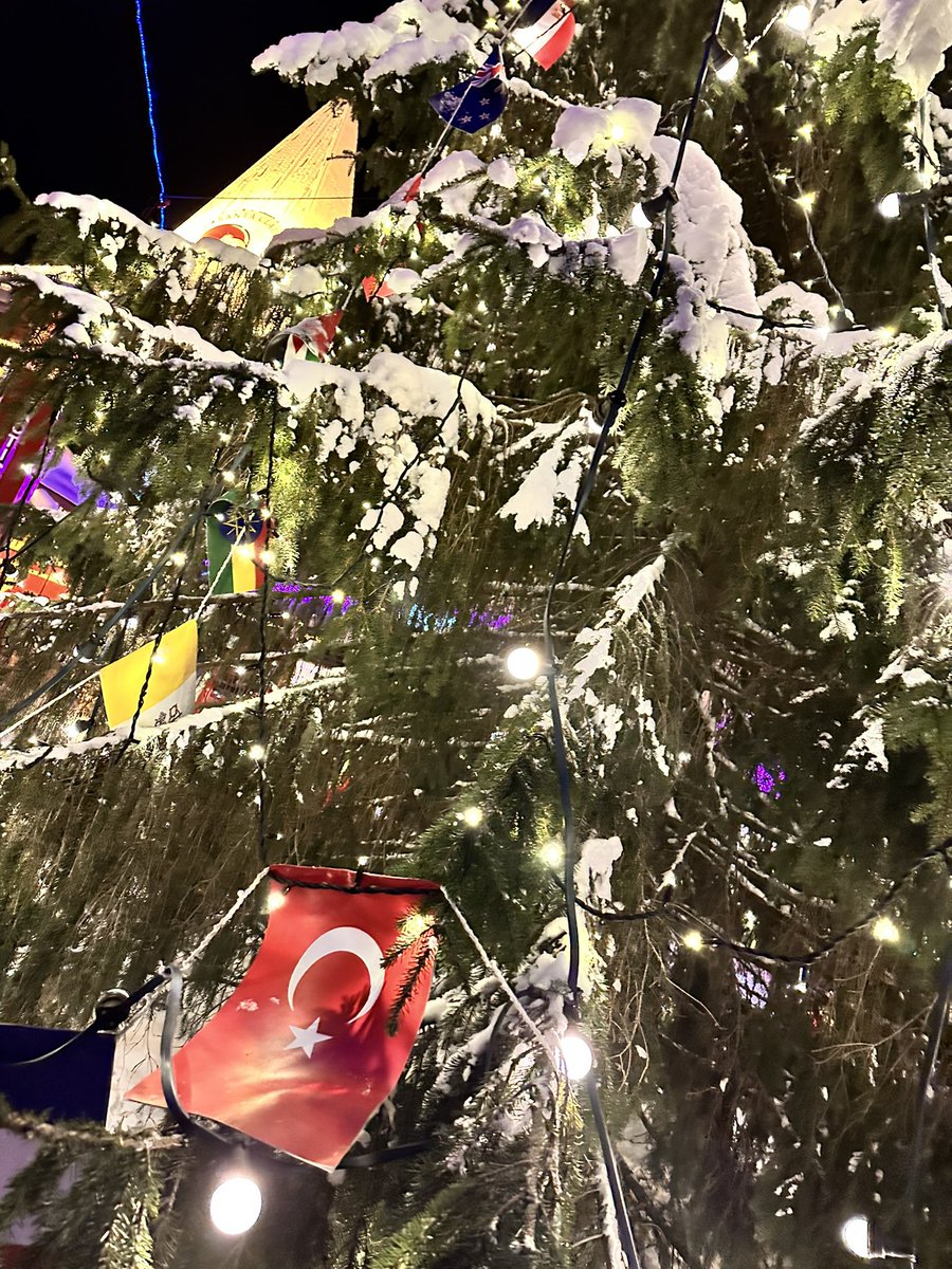 alex_dreyfus's tweet photo. 🇹🇷🎄❤️ https://t.co/1FBVIWviXw
