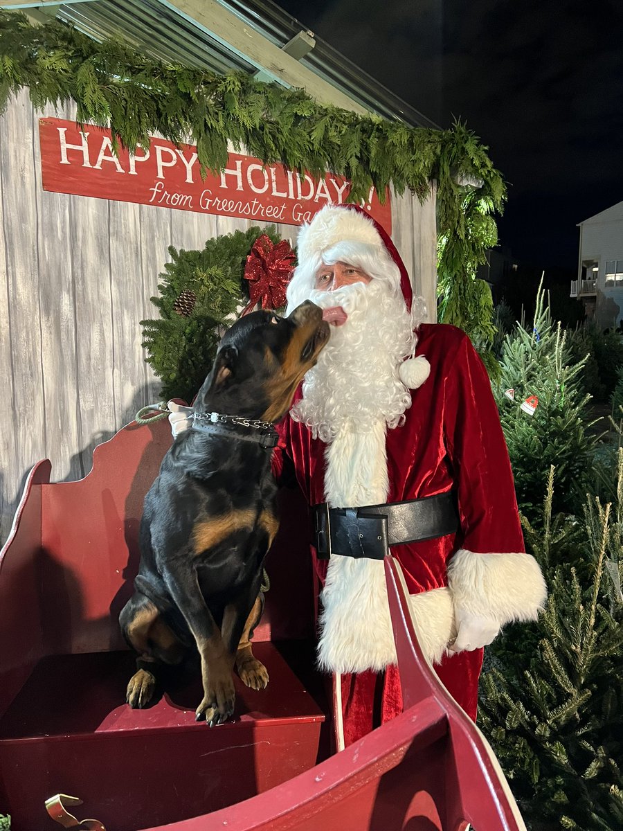GreenstreetNOVA's tweet photo. Great weekend to get a fresh cut Christmas Tree. Remember ask for a fresh cut and put in water with shot prolong as soon as you get home. https://t.co/RXQzZJ8GTl